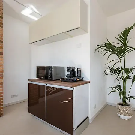 Deluxe Ground Floor Venice/treviso Park Apartment