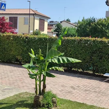 Deluxe Ground Floor Venice/treviso Park Apartment